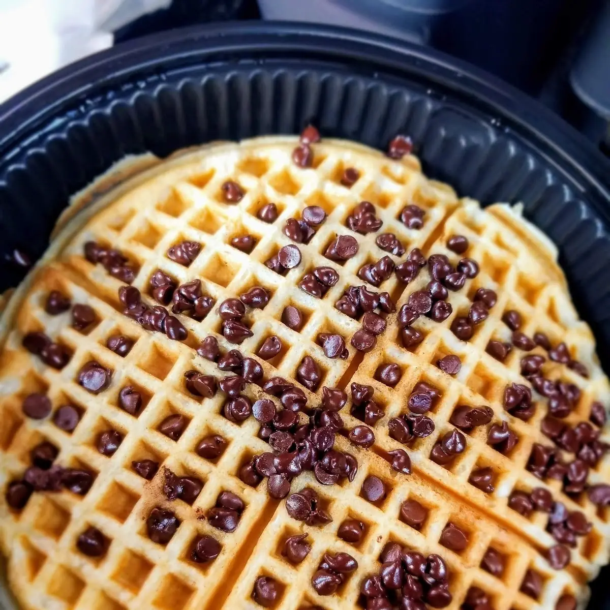 Chocolate Chip Waffle