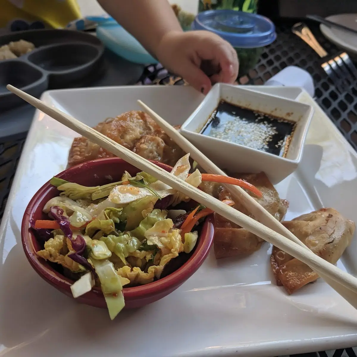 Pot Stickers