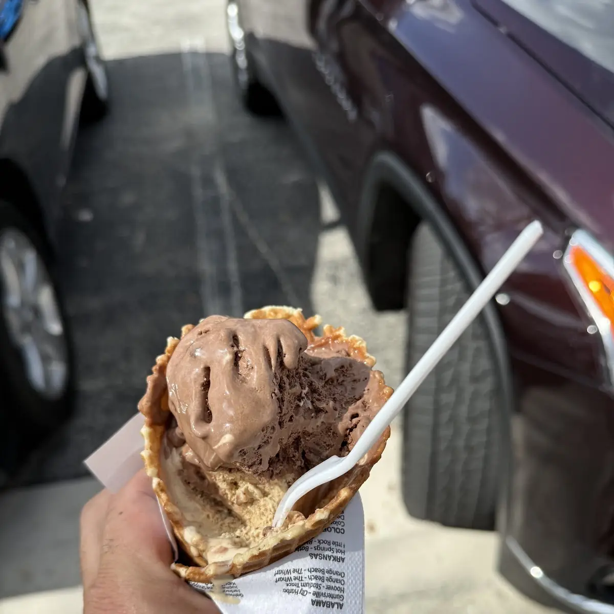 Chocolate Covered Nutter Butter