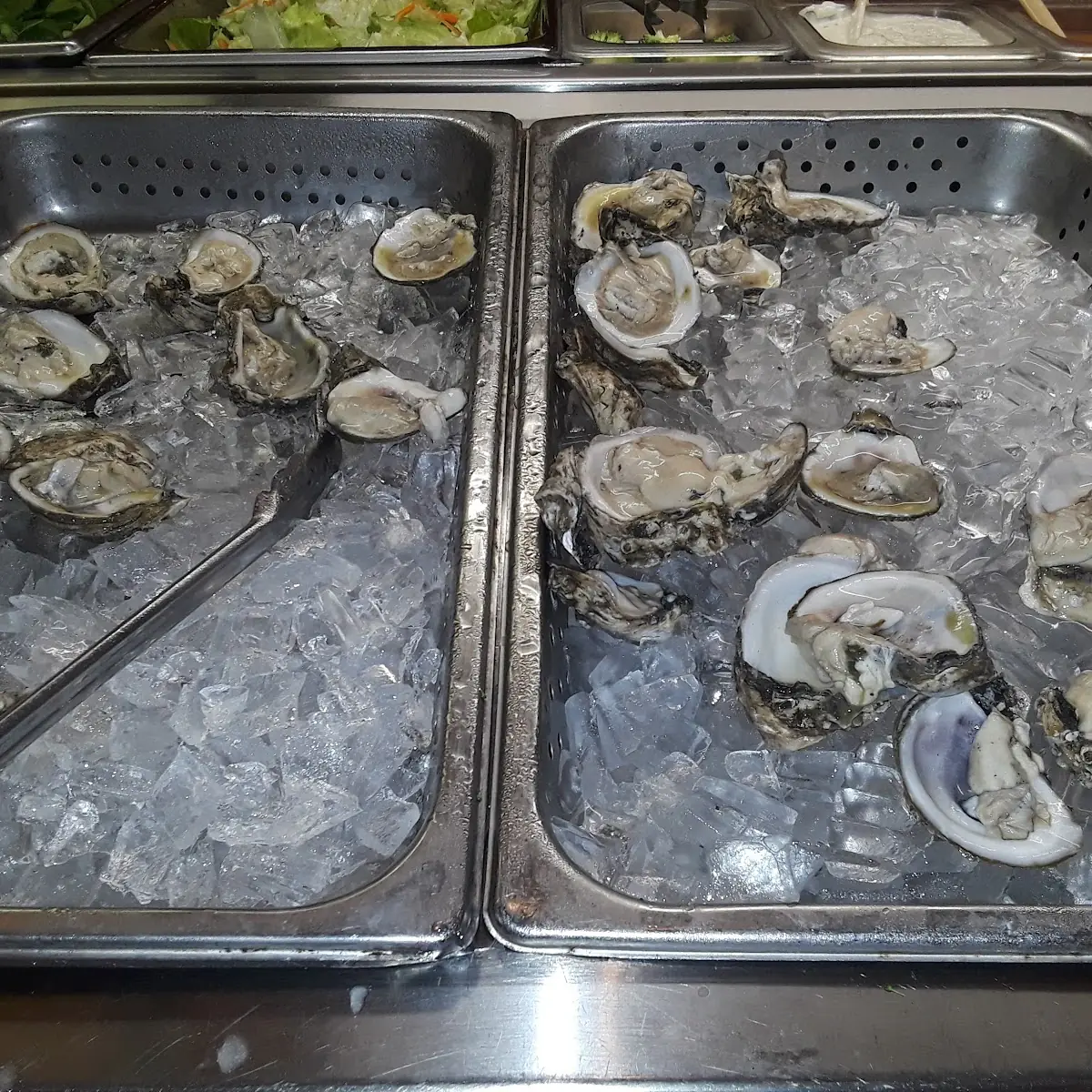 Oysters on the Half Shell