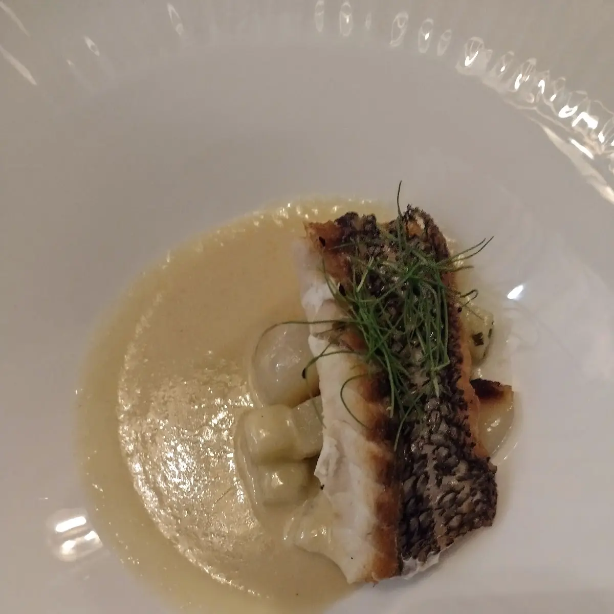Sea Bass