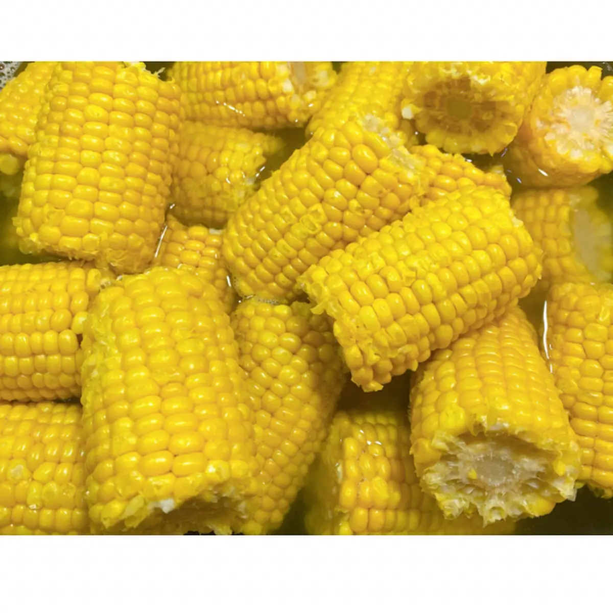 pt-Sweet Corn