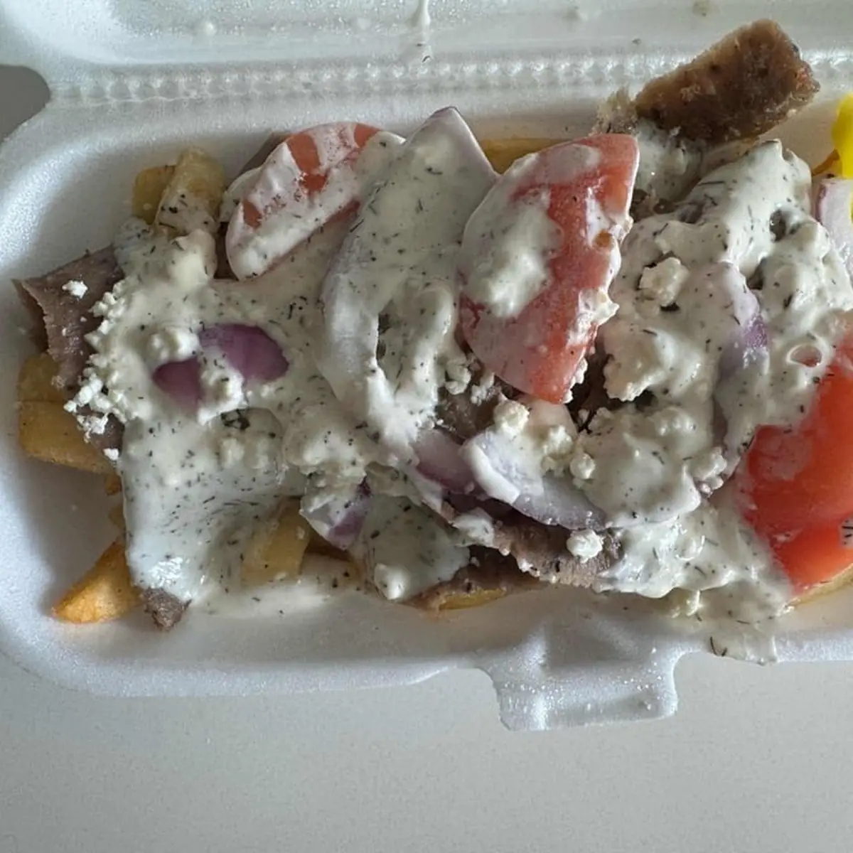 Loaded Fries with Gyro