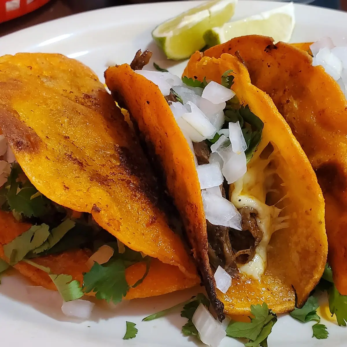 Barria Tacos