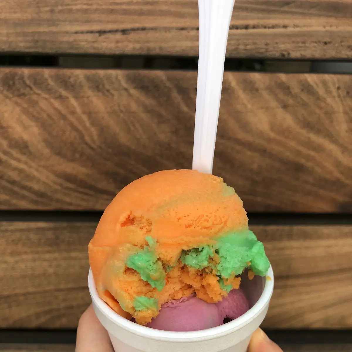 Rainbow Sherbet