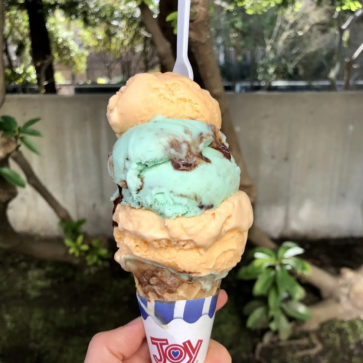 Sugar Cone