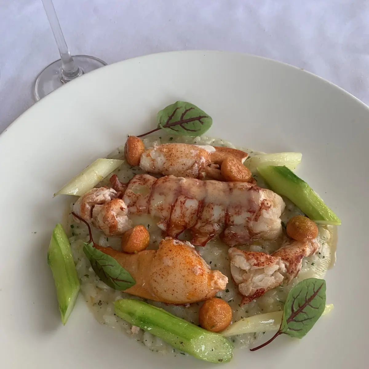 Poached Maine Lobster