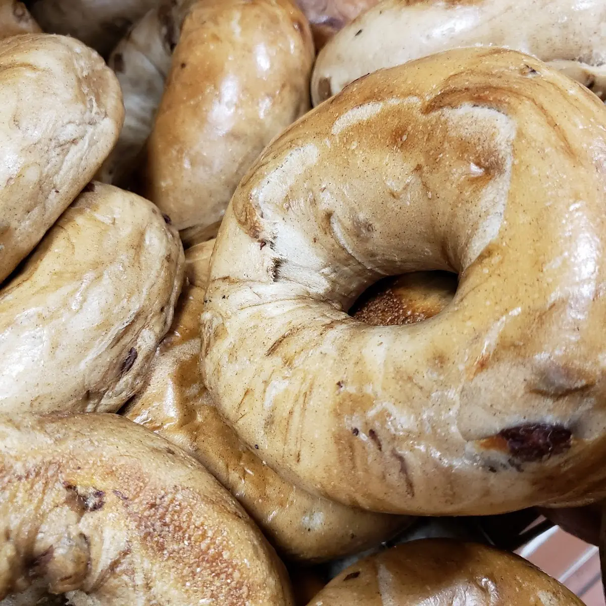 Cinnamon Raisin Bagel