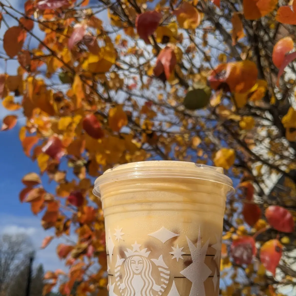Pumpkin Cream Cold Brew
