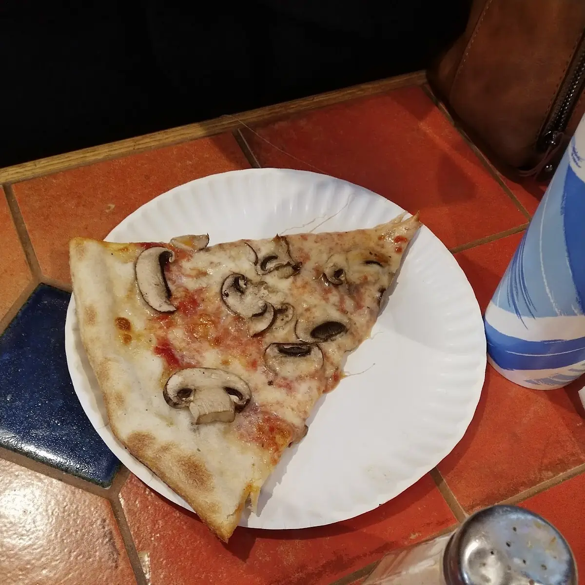 Mushroom Pizza