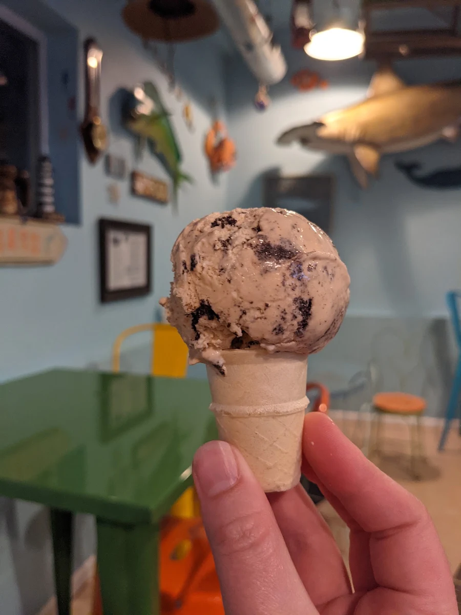 Chocolate Ice Cream