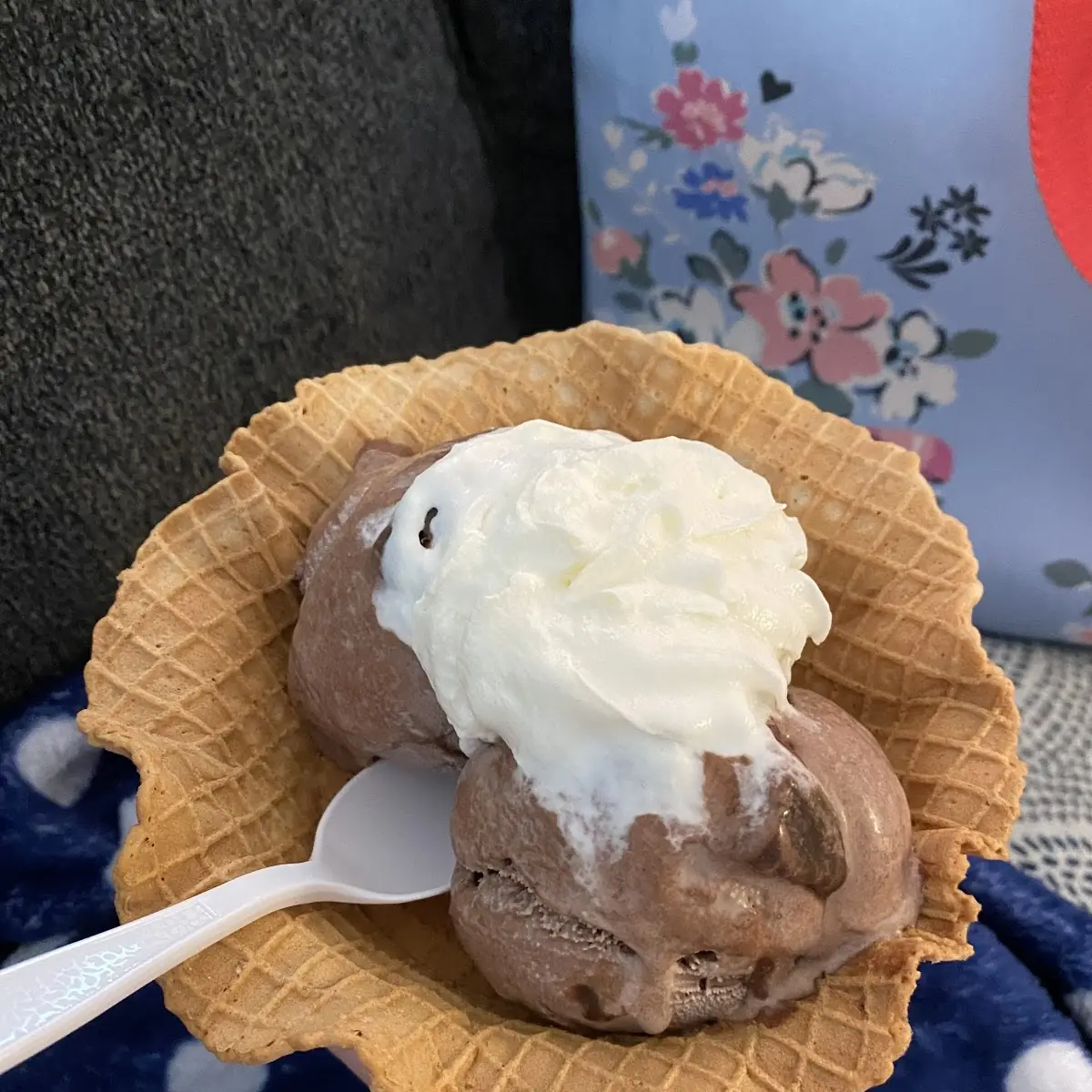 Dark Chocolate Ice Cream with Whipped Cream