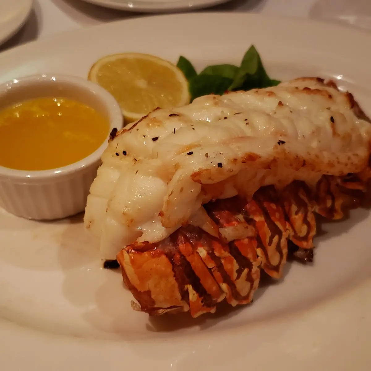 Lobster Tail