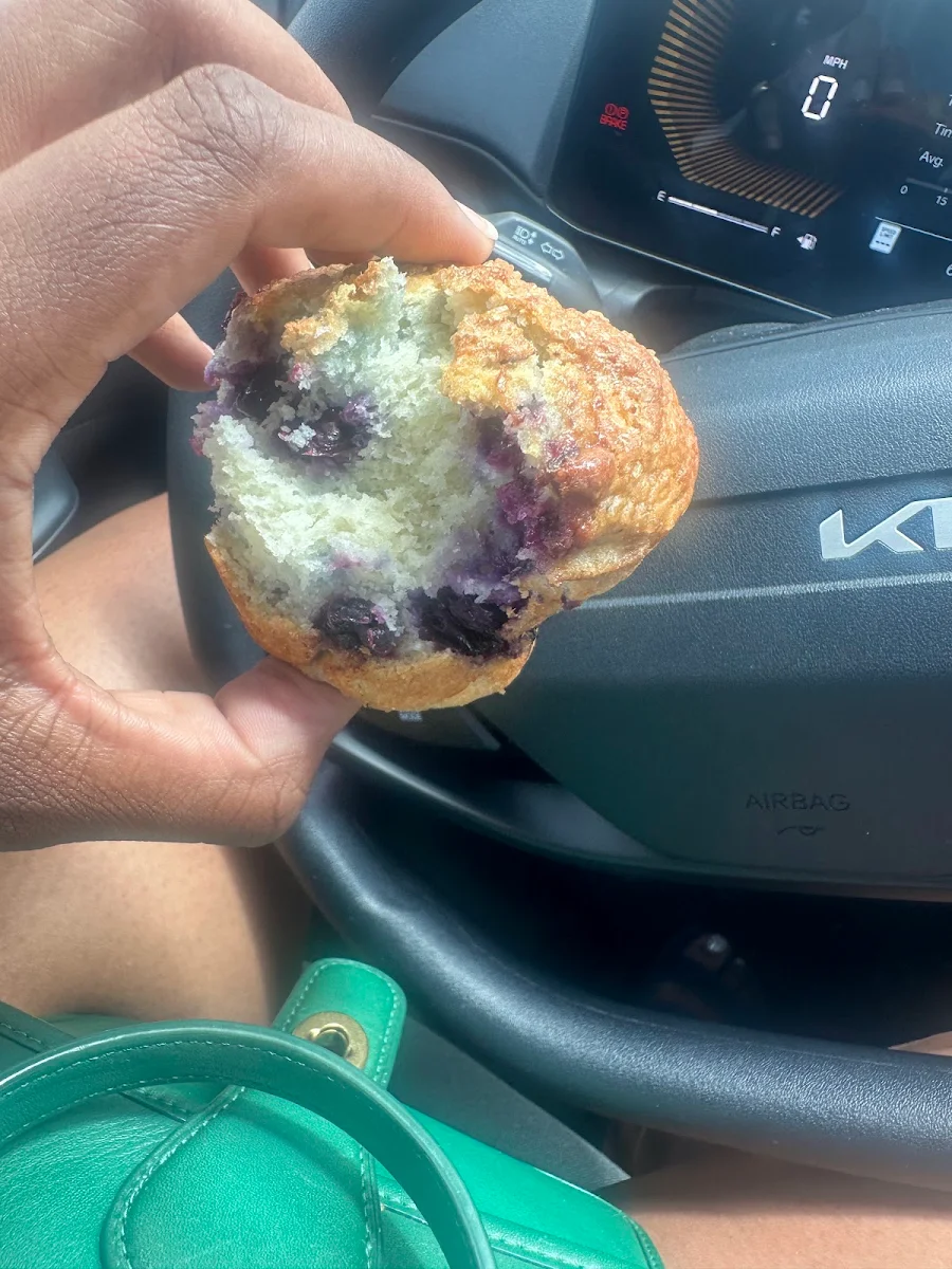 Blueberry Muffin