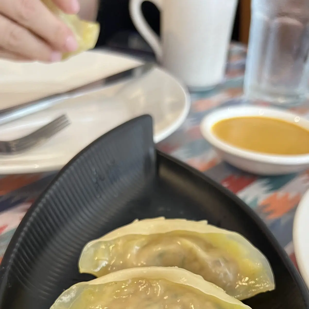 Momo Chicken Dumplings