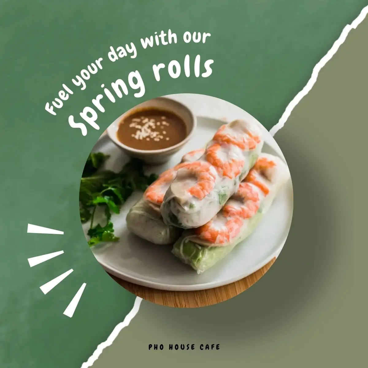 Spring Rolls Goi Cuon