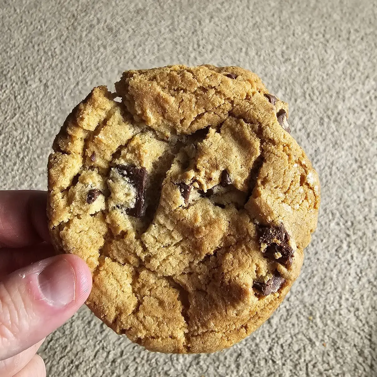 Freshly Baked Cookies