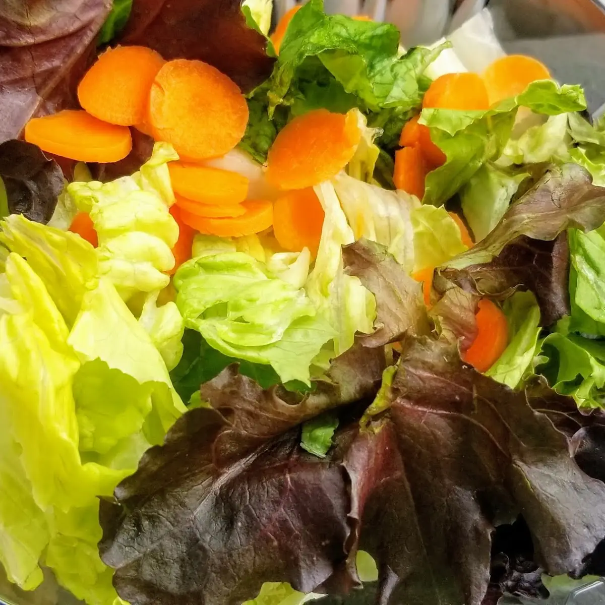 Summer Salad