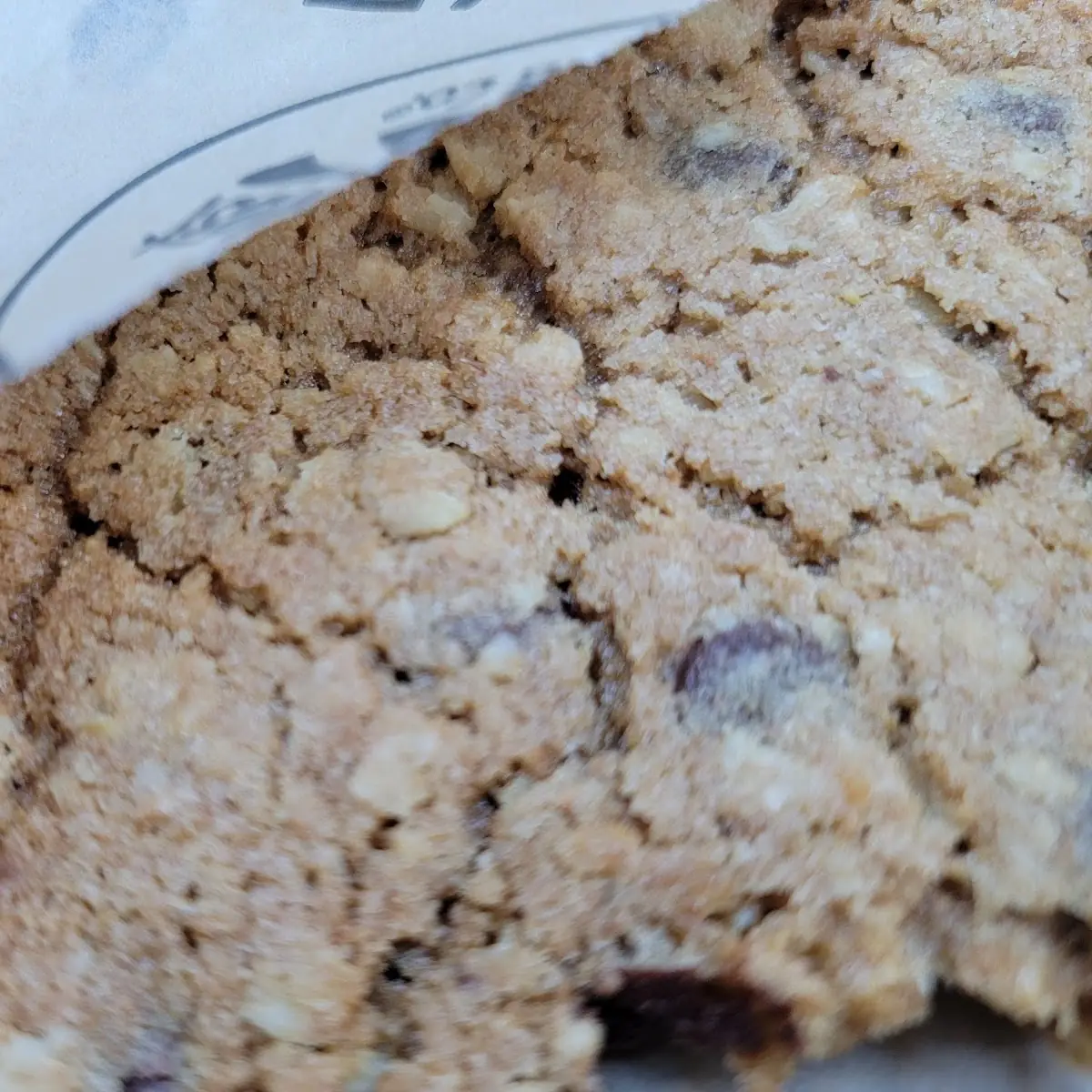 Chocolate Chip Oatmeal Cookie