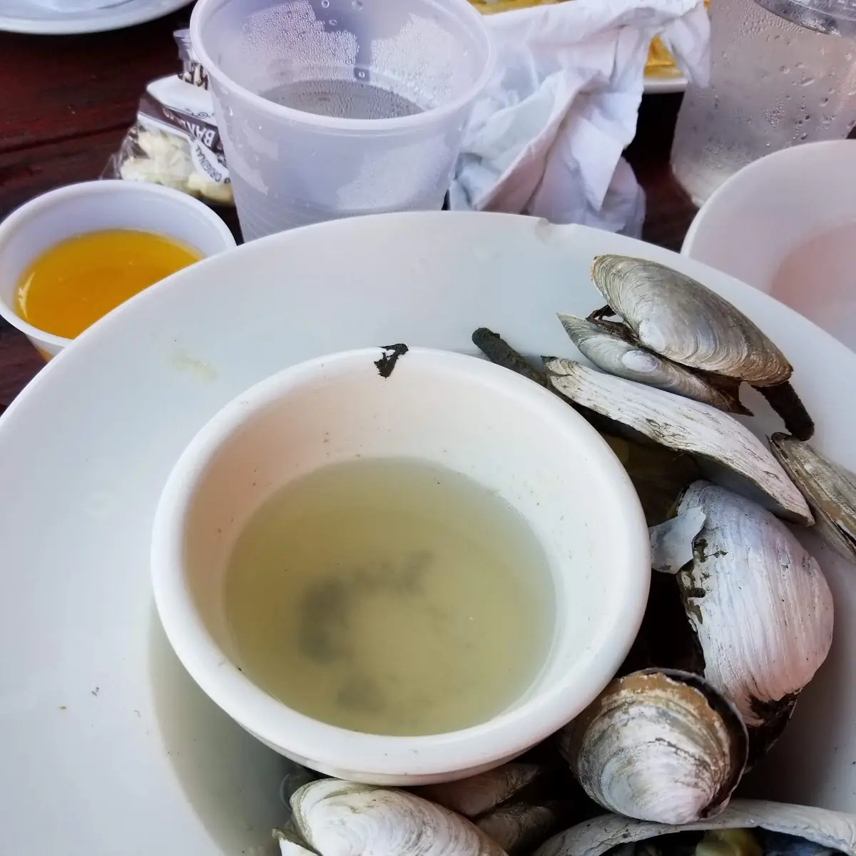 Steamed Clams