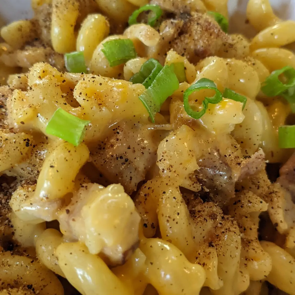 Pork Belly Mac and Cheese