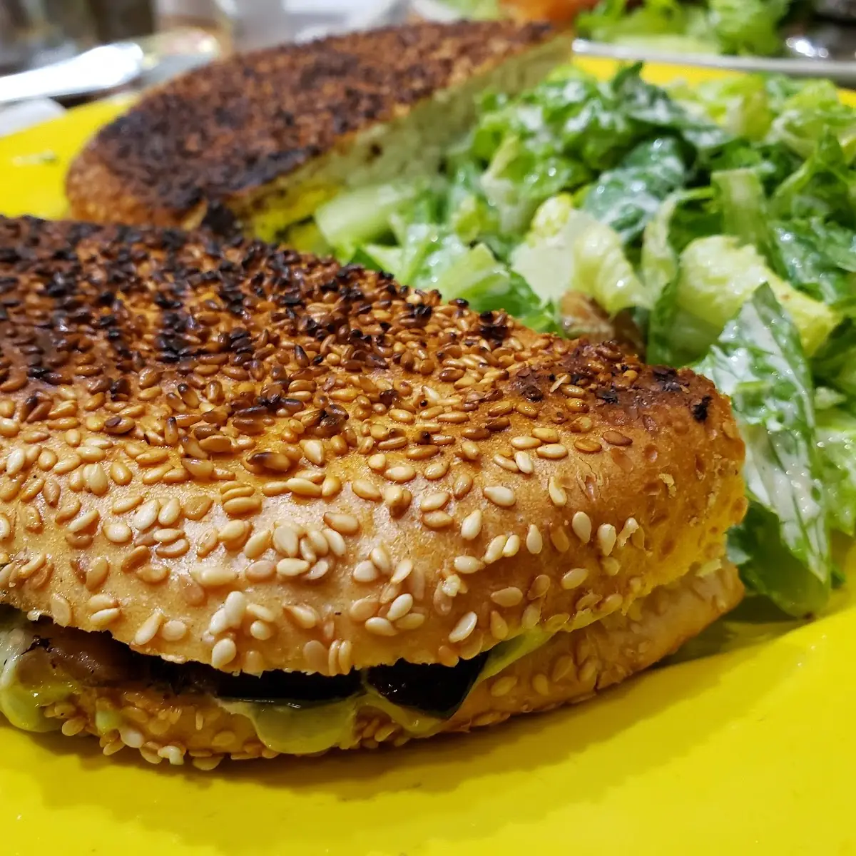 Middle East Panini