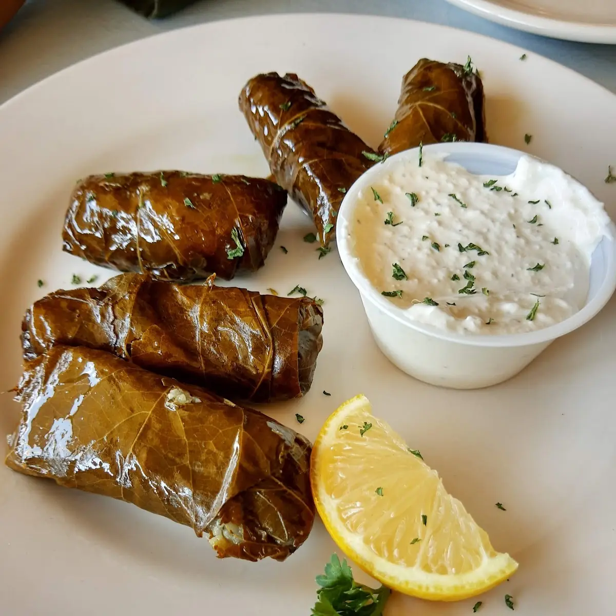 Stuffed Grape Leaves