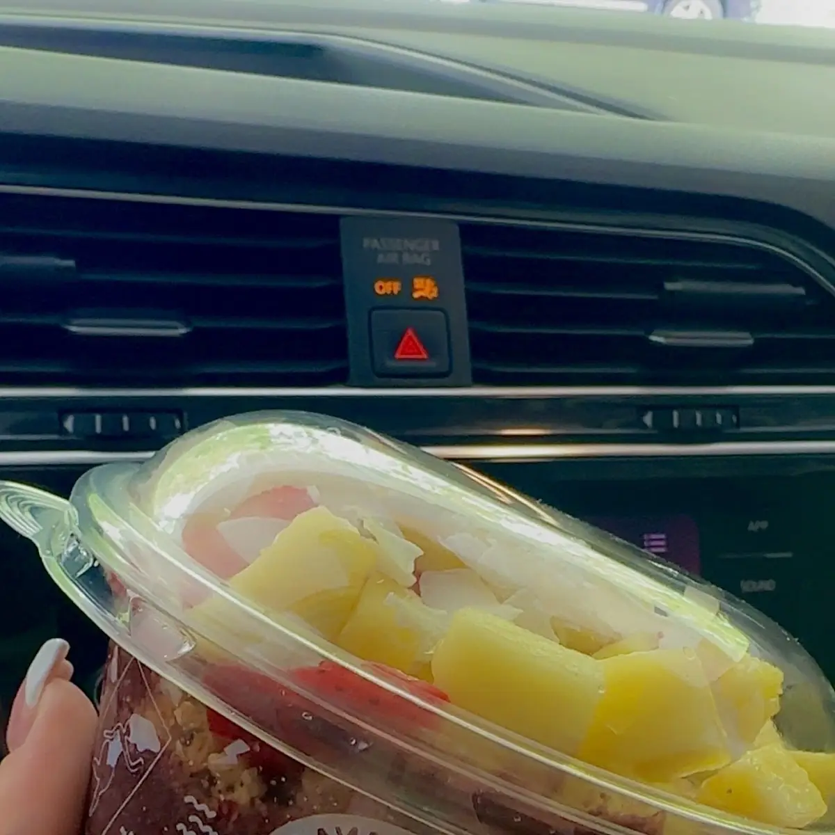 Fruit Cup