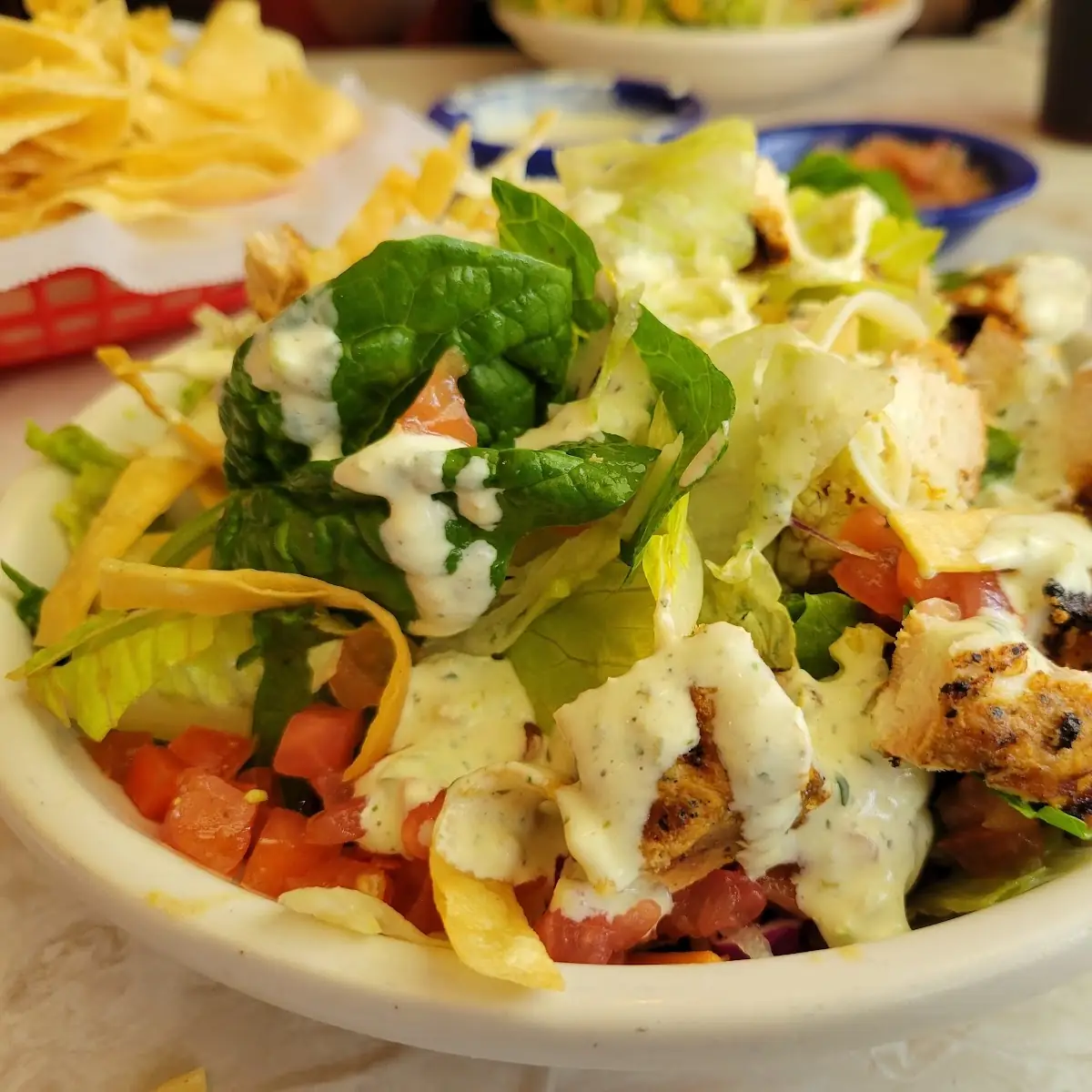 Grilled Chicken Salad