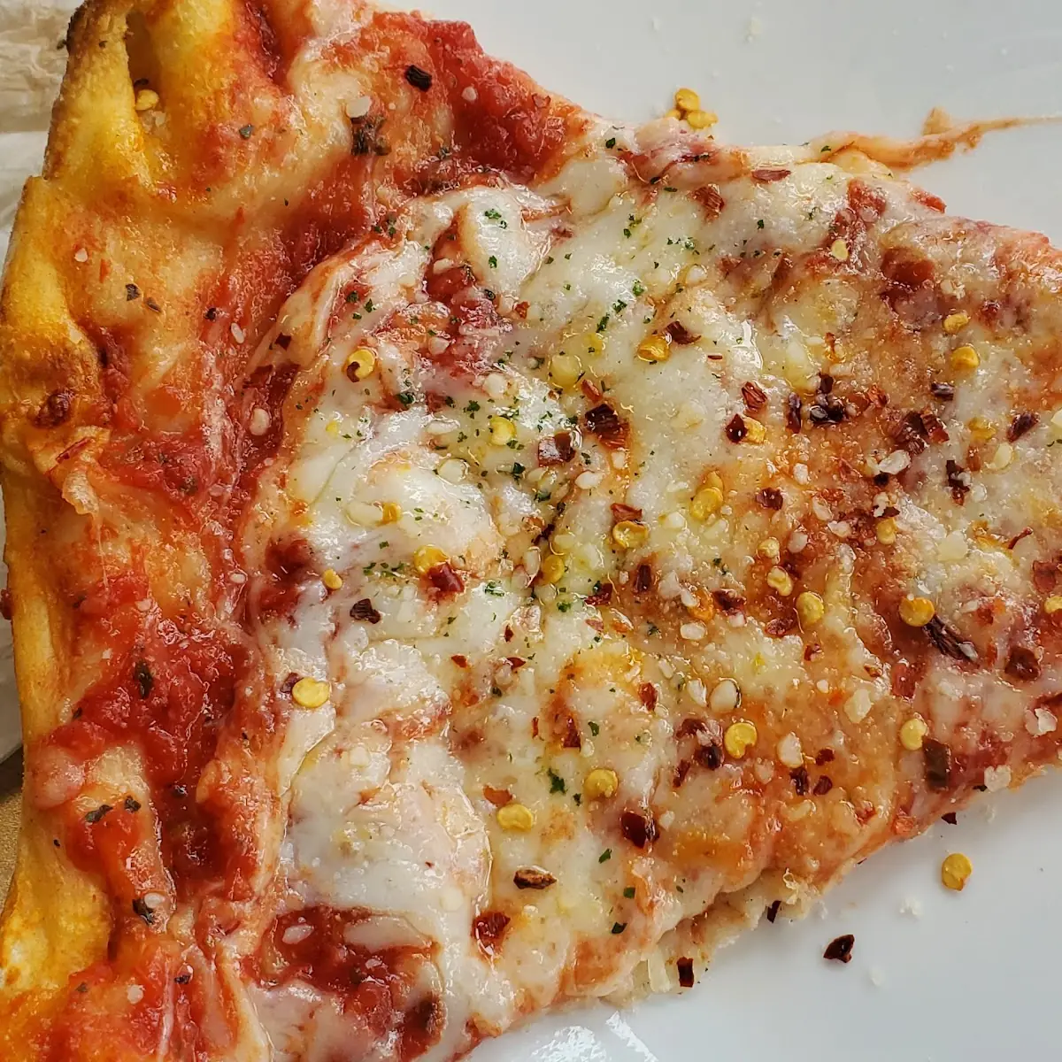 Plain Cheese Pizza