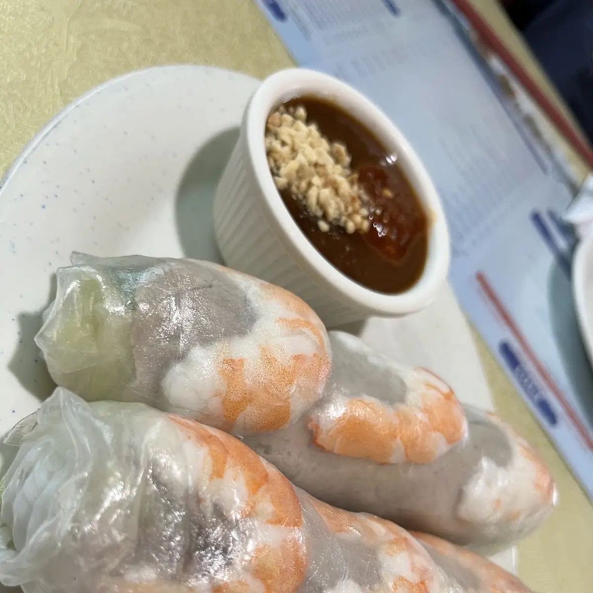 Spring Summer Rolls