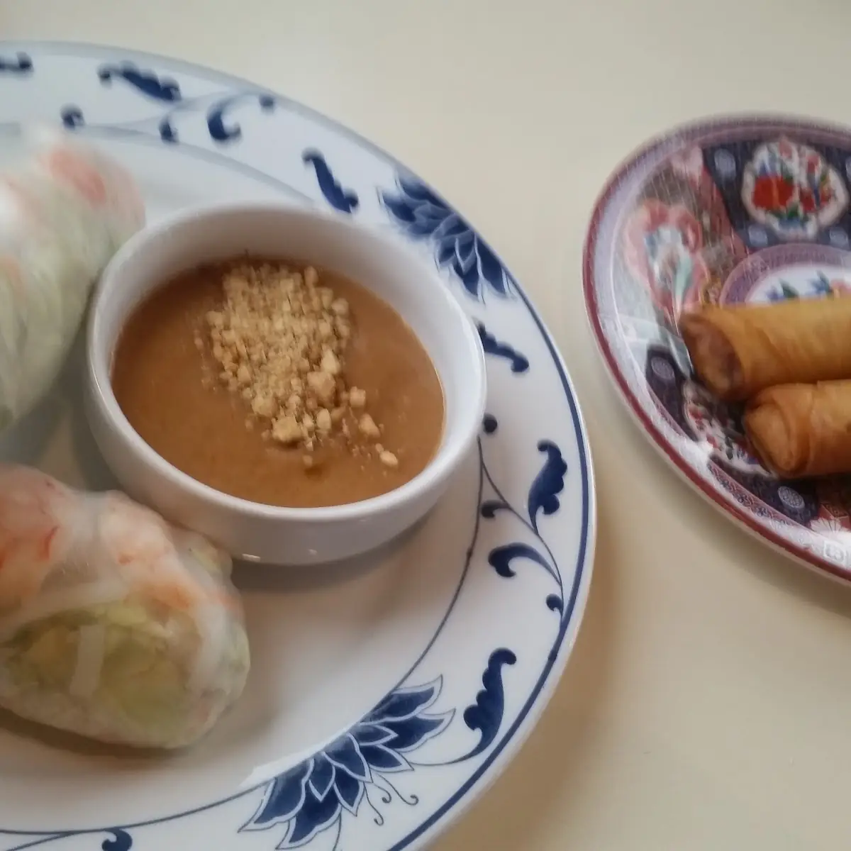 Fresh Rolls and Spring Rolls