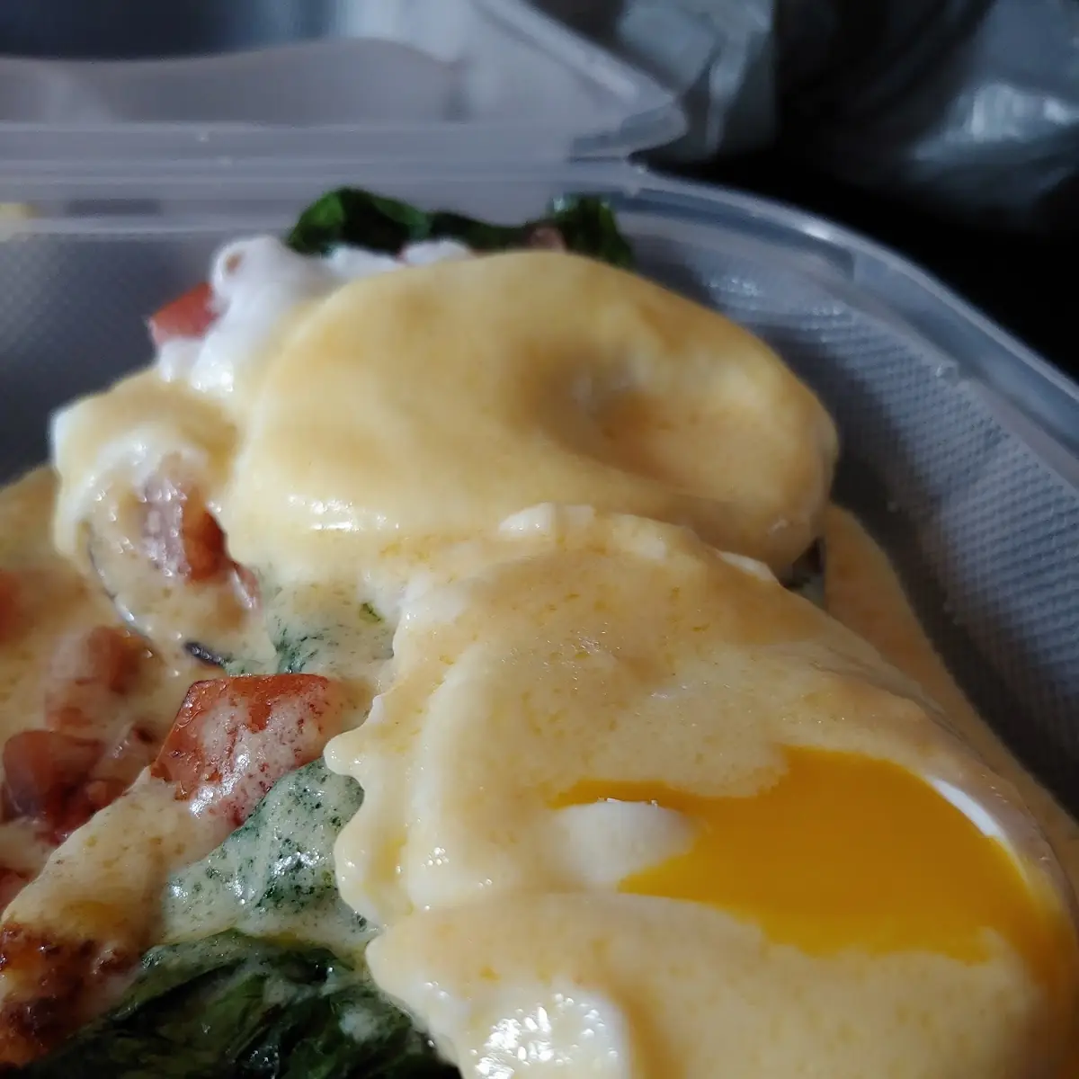 Florentine Benedict