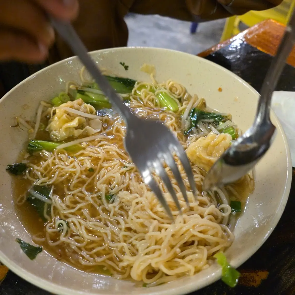 Egg Noodles Wonton Soup