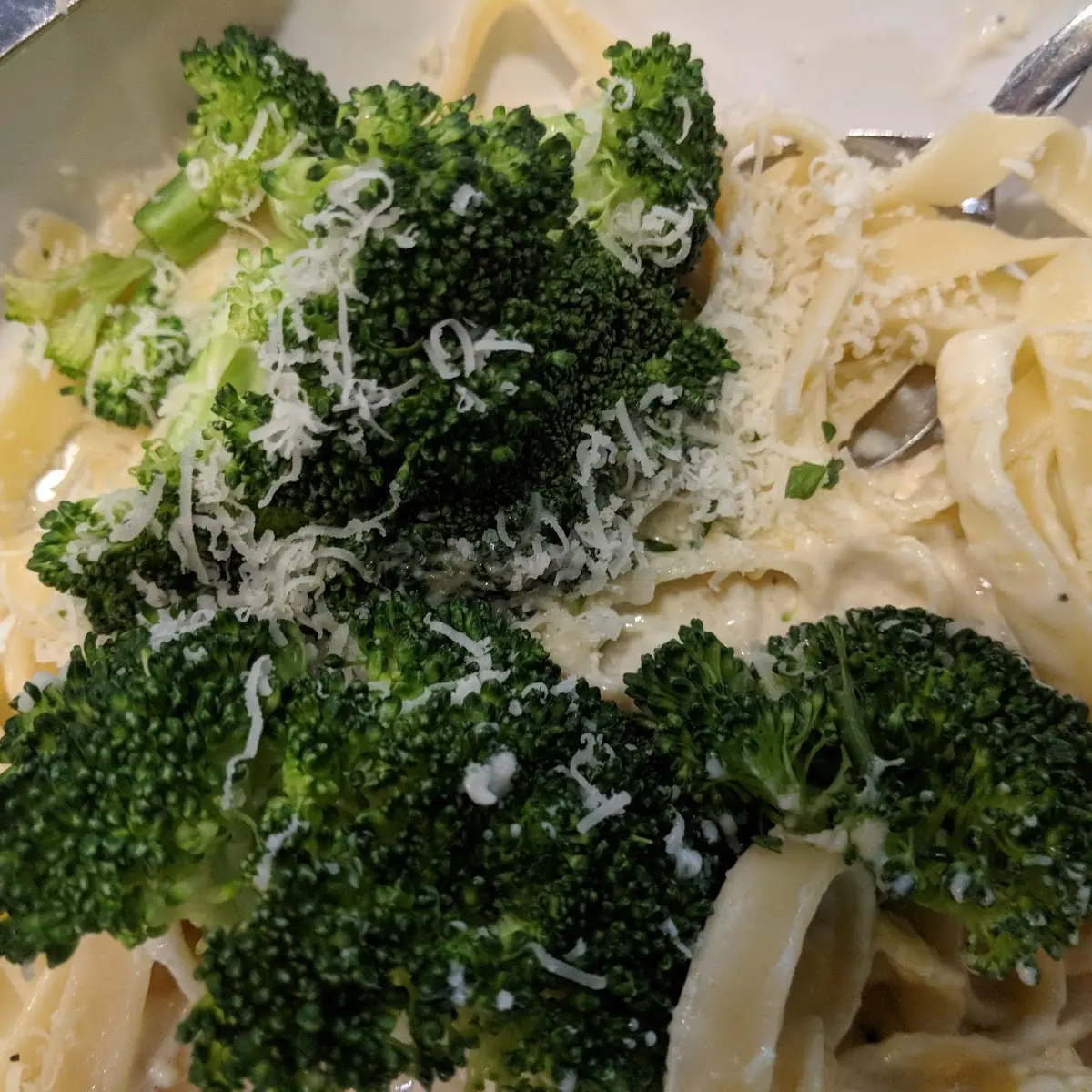 Chicken Broccoli Alfredo