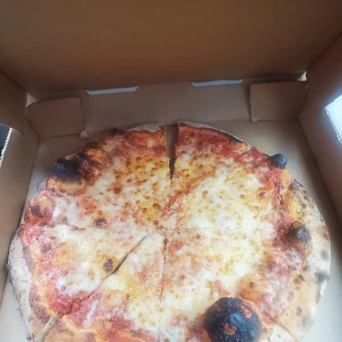 Cheese Pizza