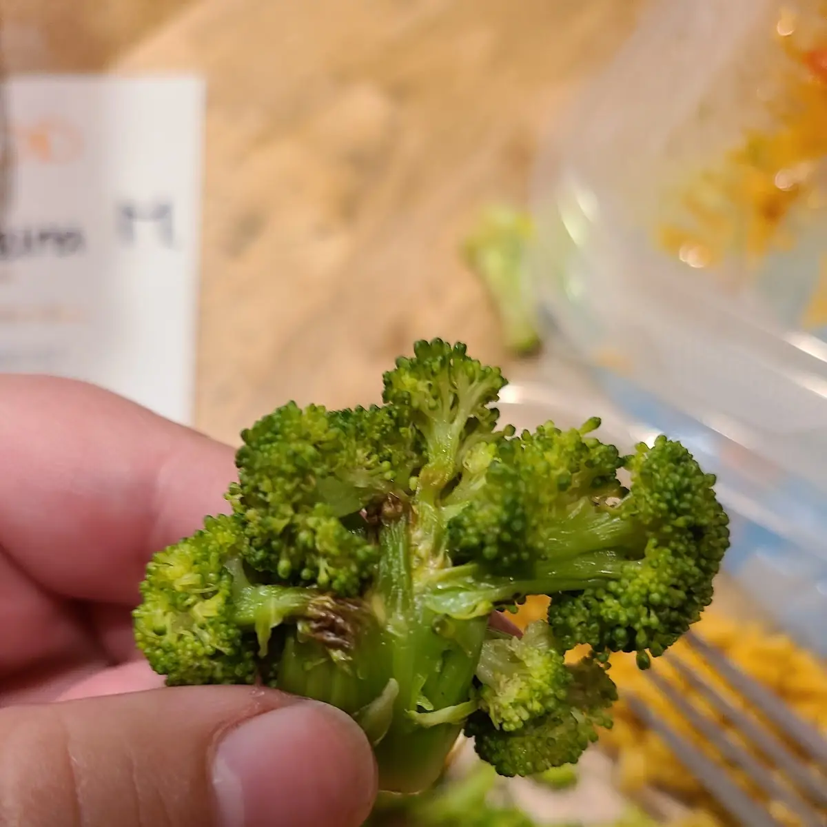 Steamed Broccoli