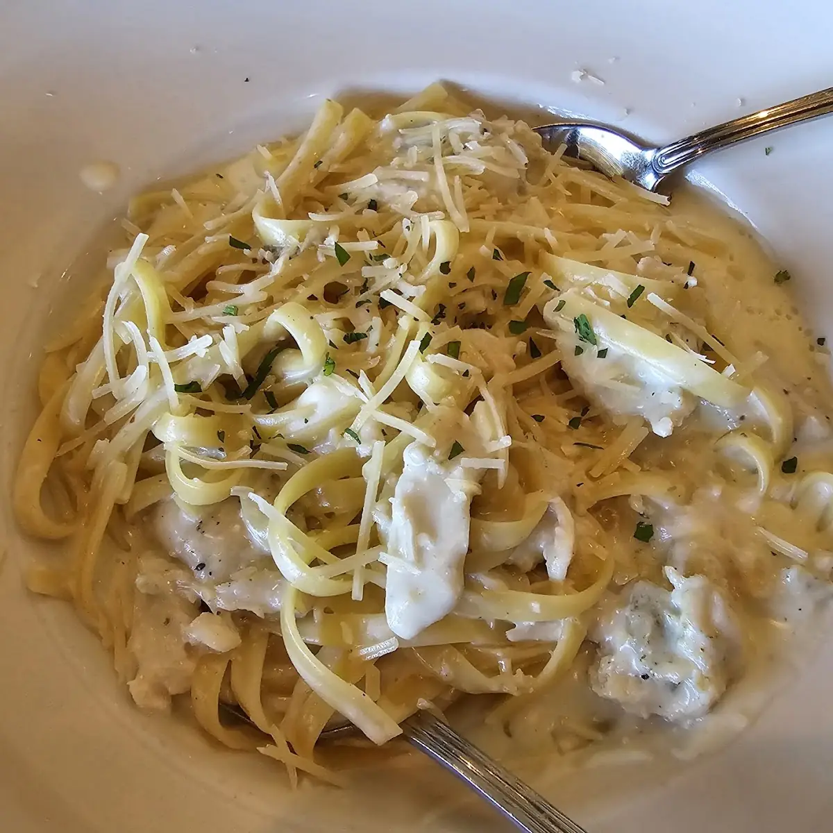 Creamy Alfredo Pasta