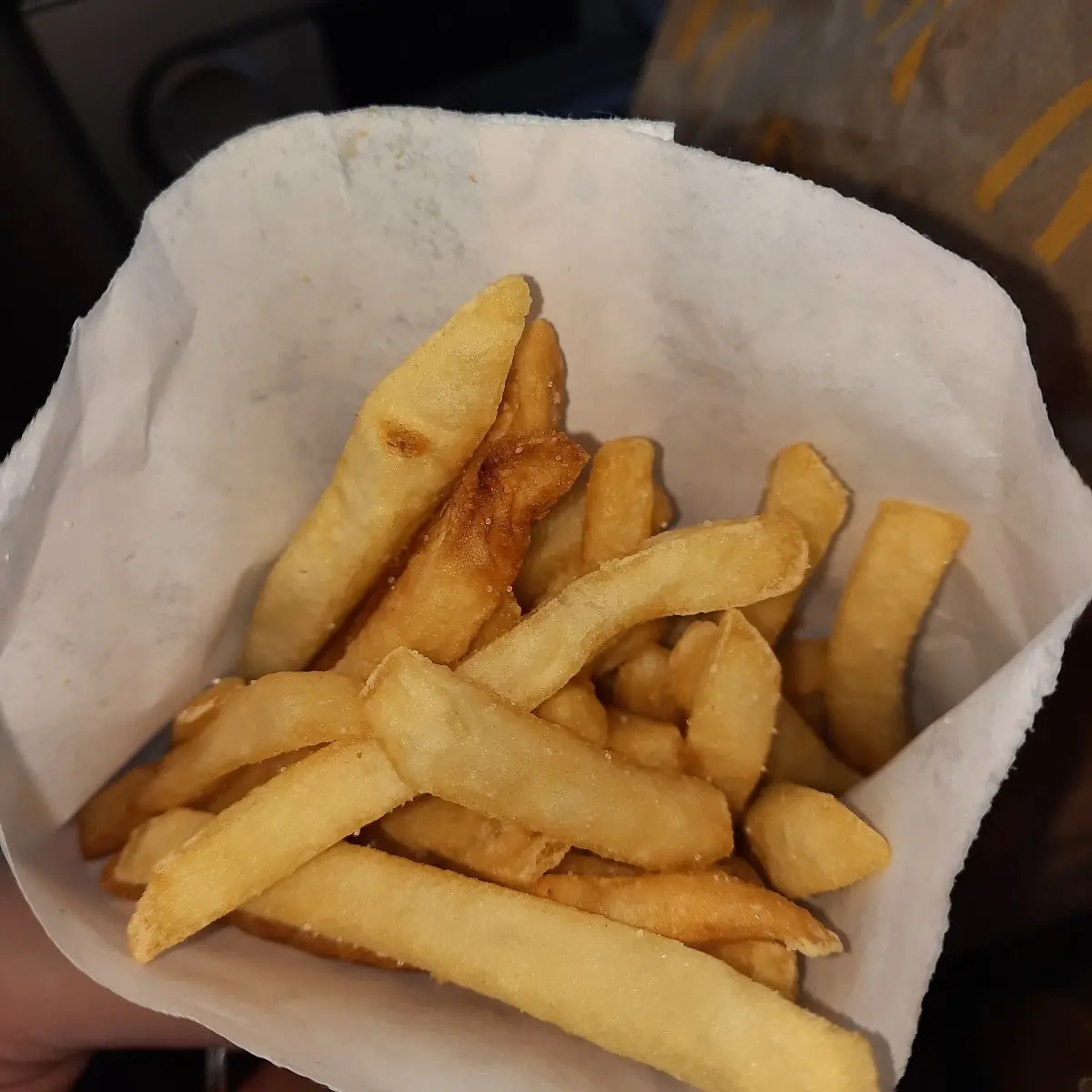 World Famous Fries