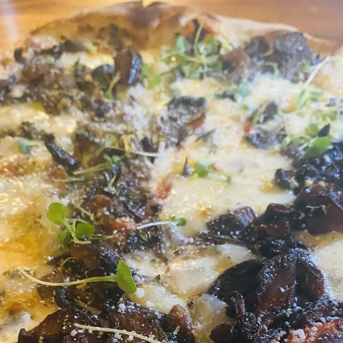 Mushroom Pizza