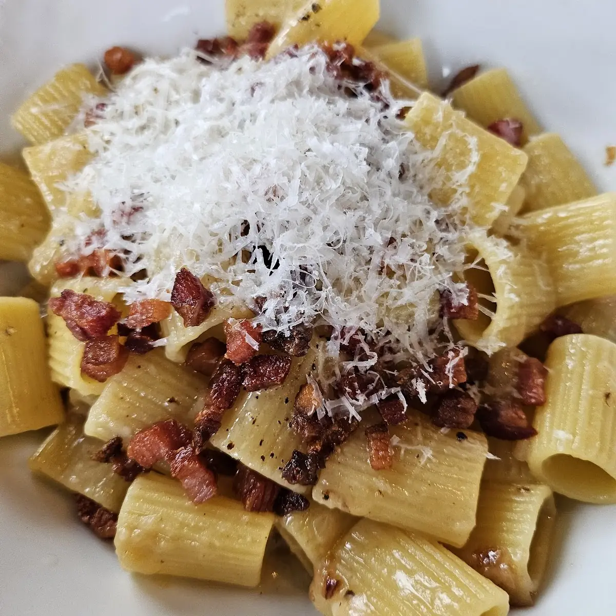 Rigatoni Carbonara Pasta Dish