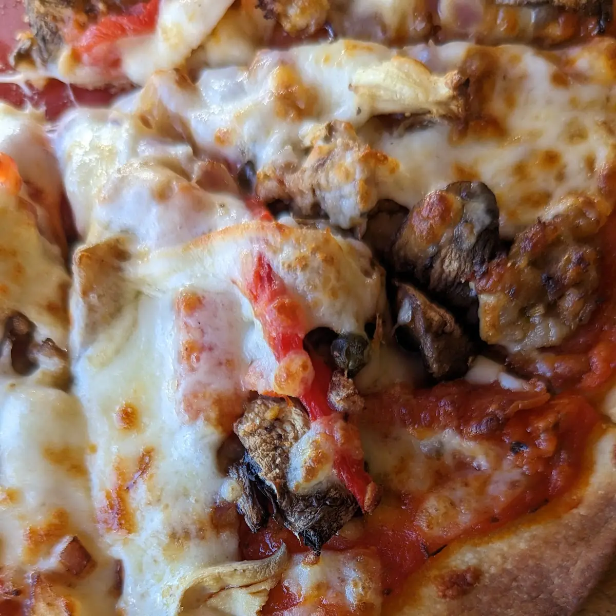 Mushroom Pizza