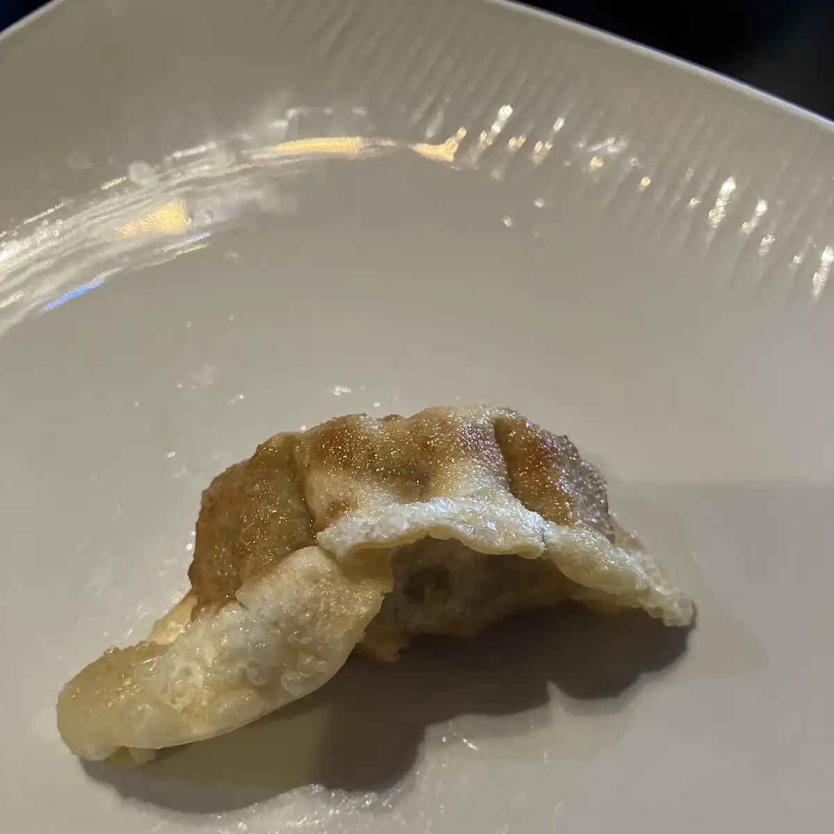 Pot Stickers 6