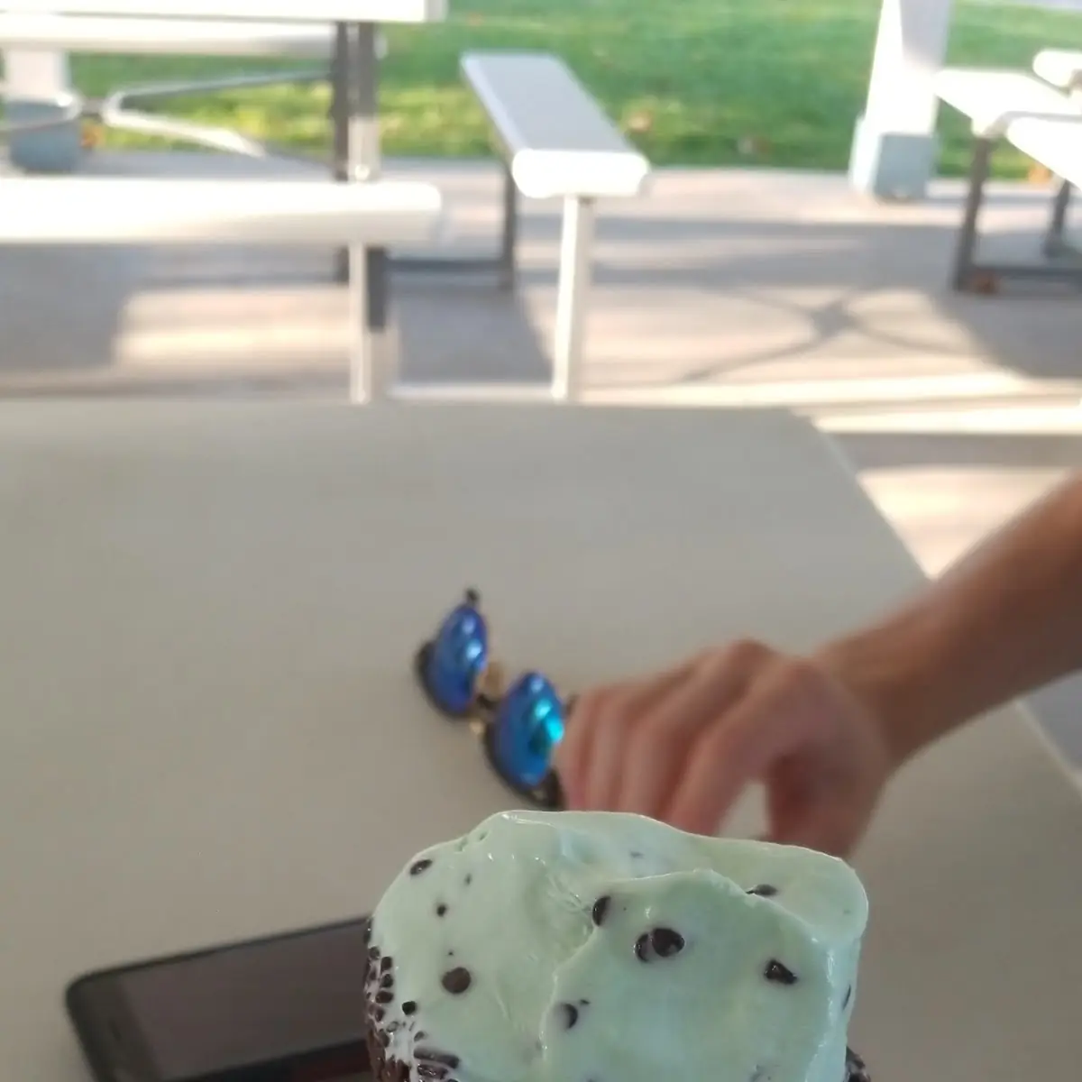 Chocolate Chip