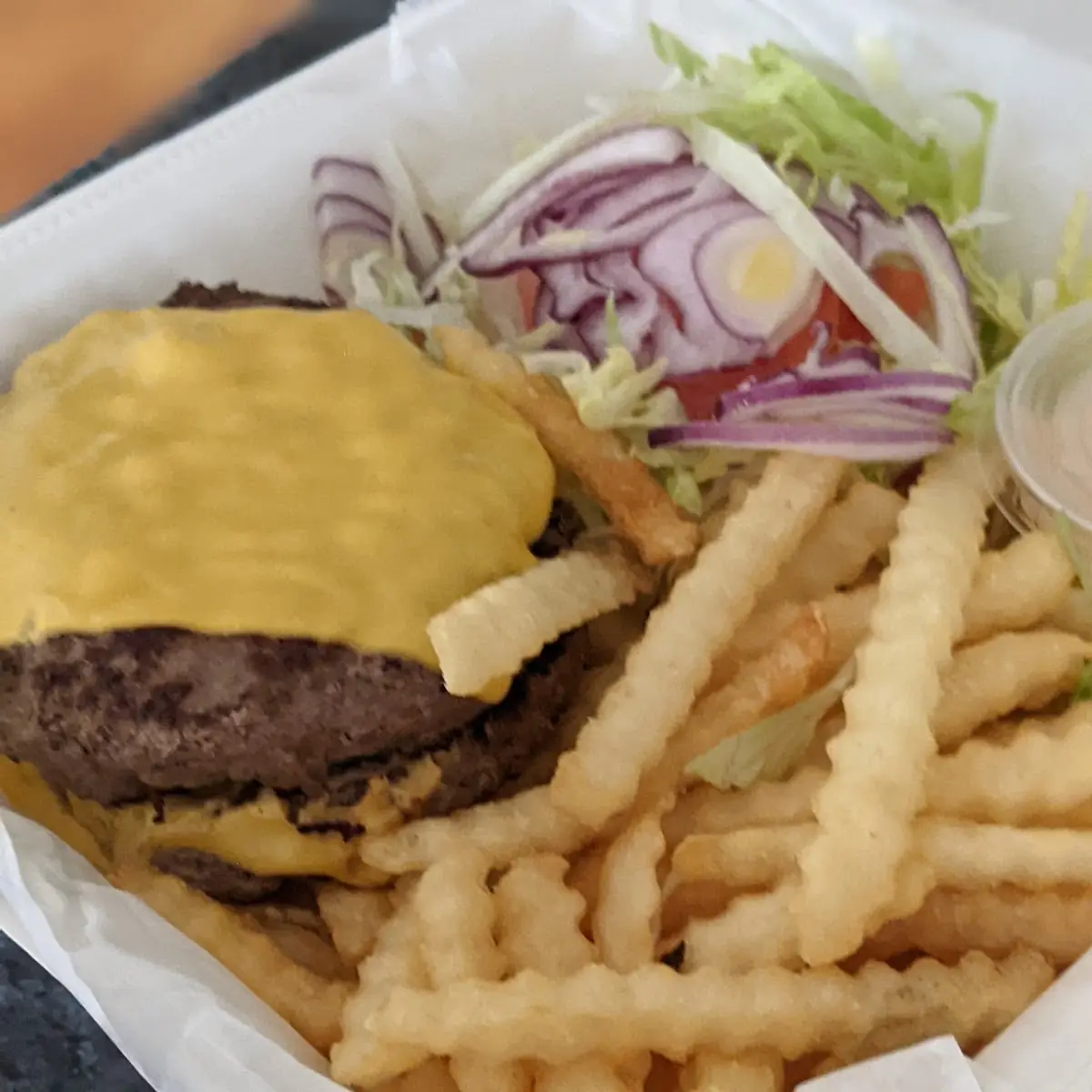 Sonny's Double Cheeseburger