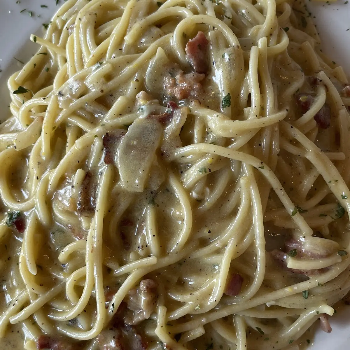 Spaghetti Marinara Sauce