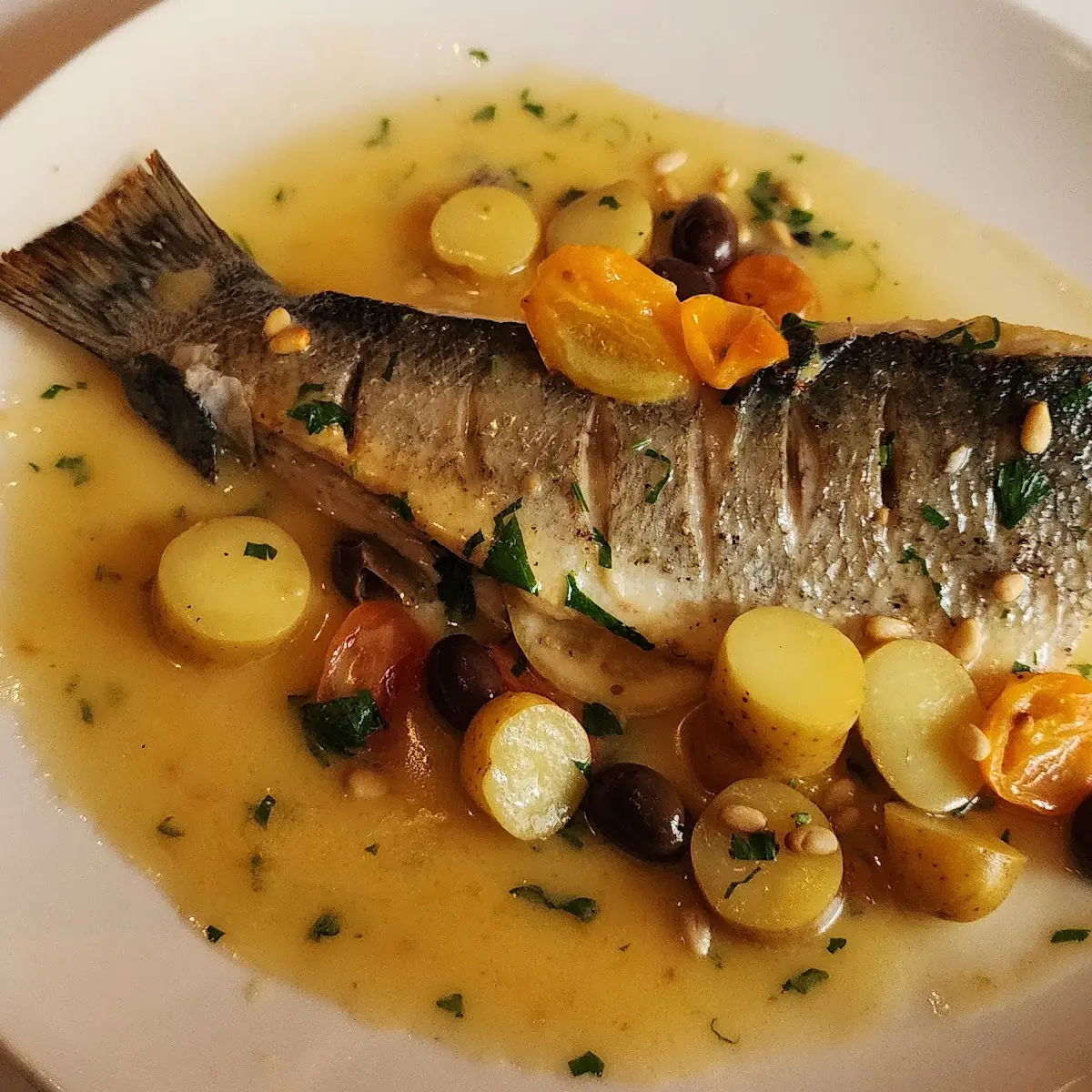 Sea Bass