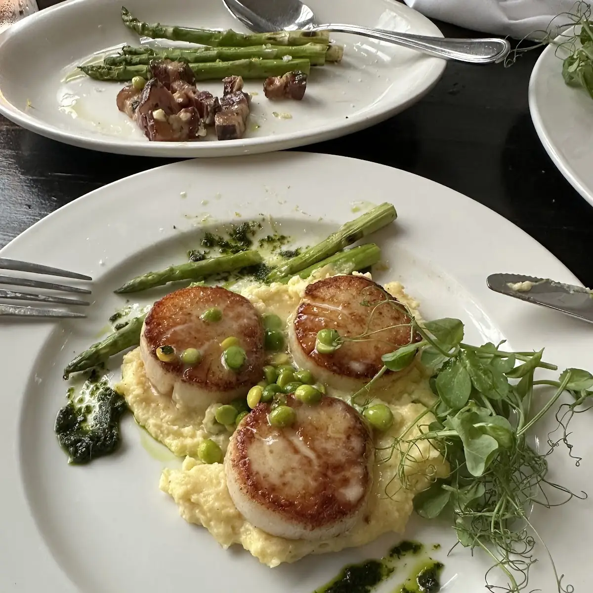 Pan Seared Scallops