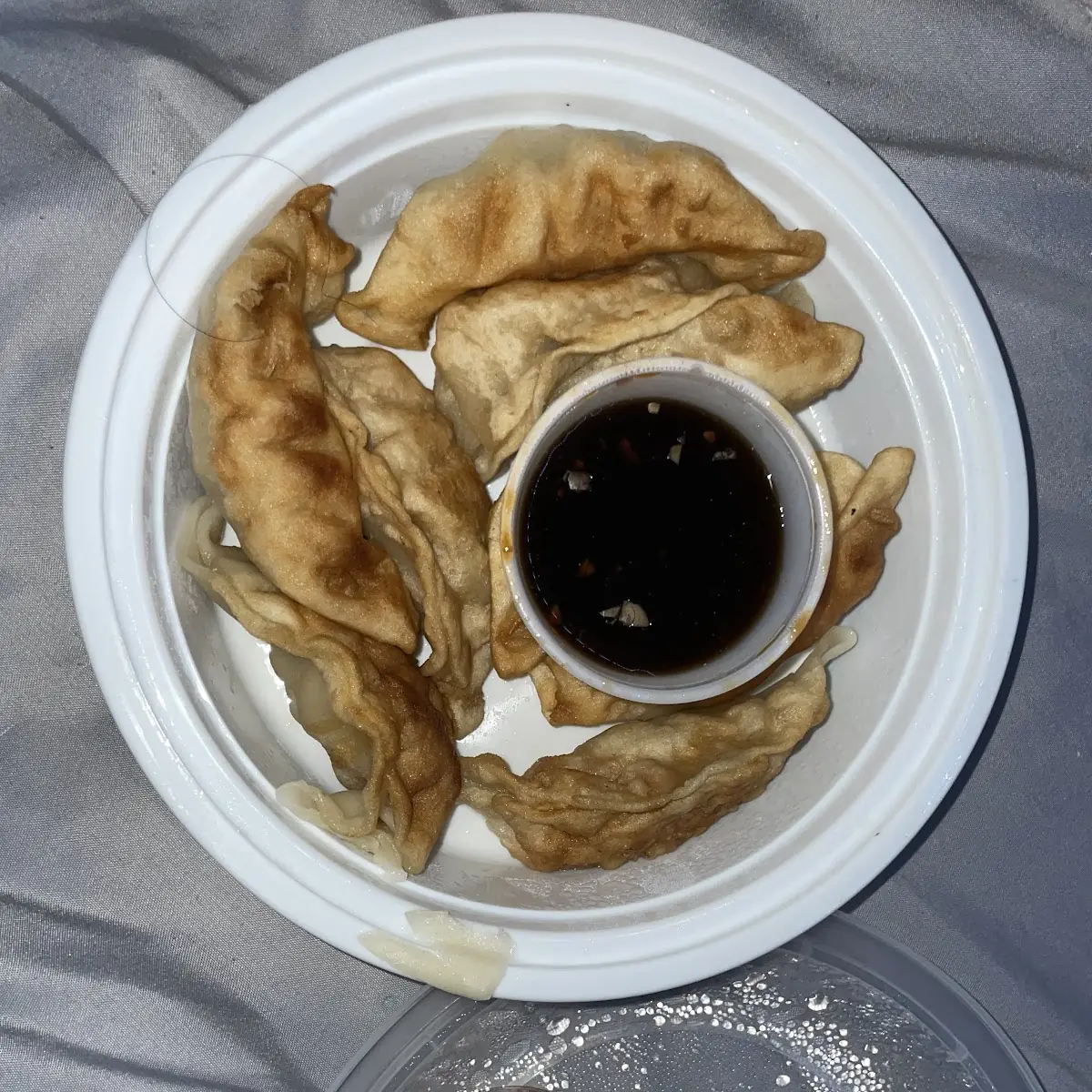 Fried or Steamed Dumplings