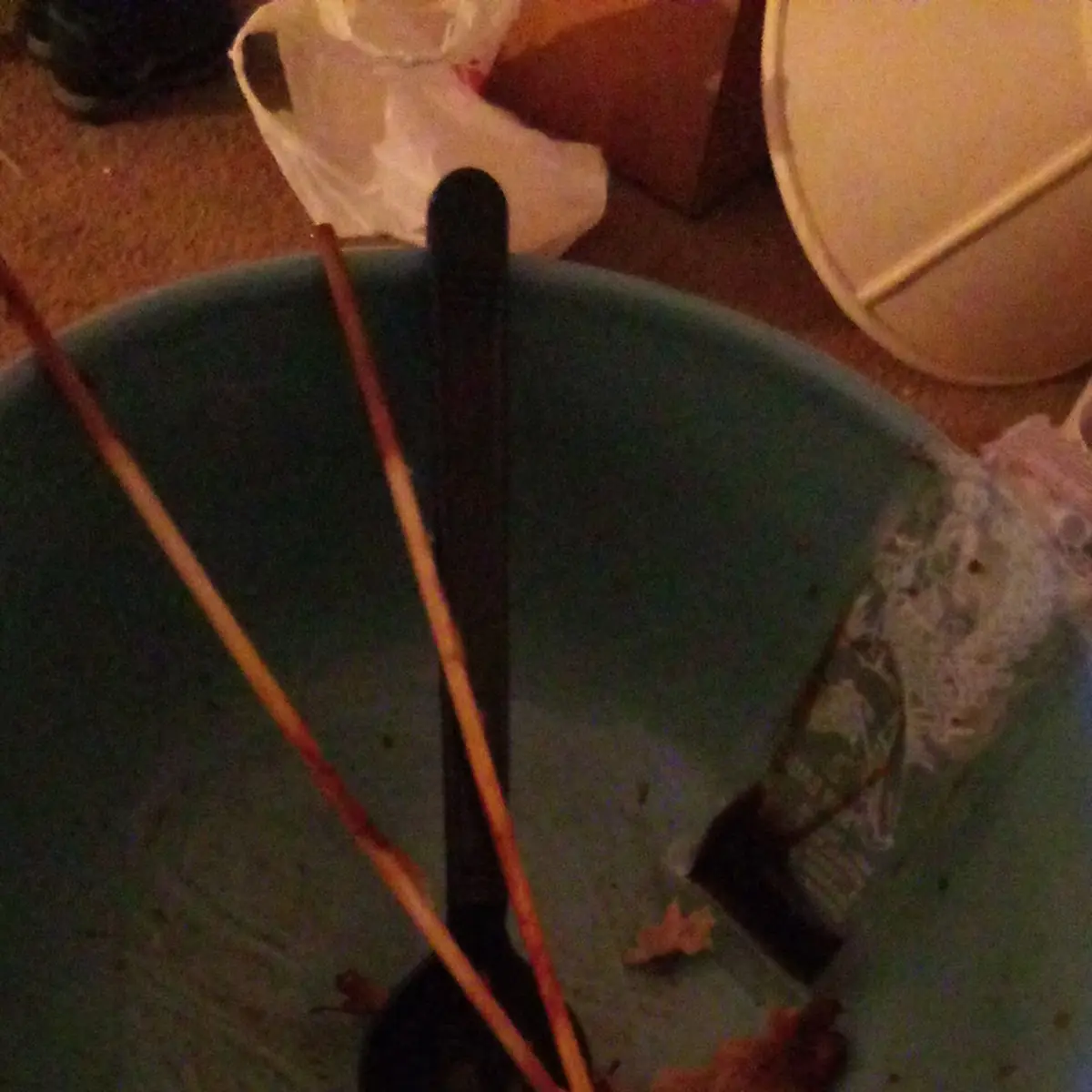 Teriyaki Chicken 5